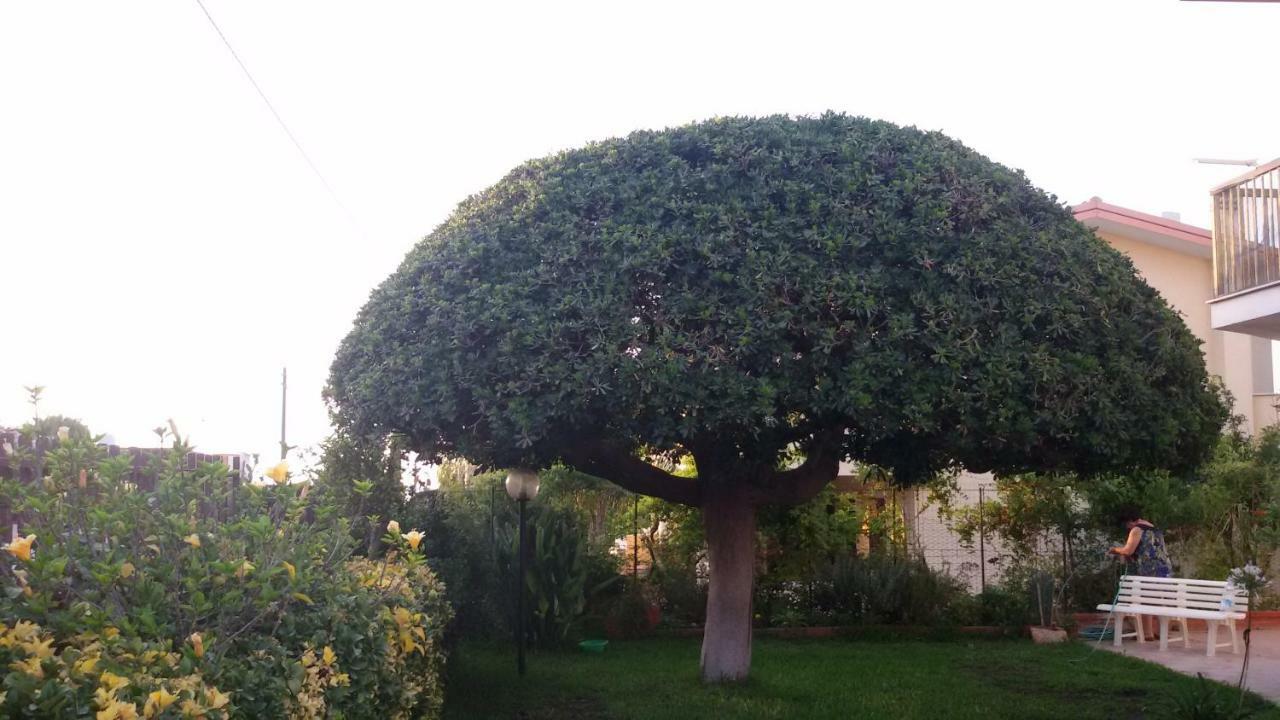فيلا Casa Di Poseidone بروكولي المظهر الخارجي الصورة